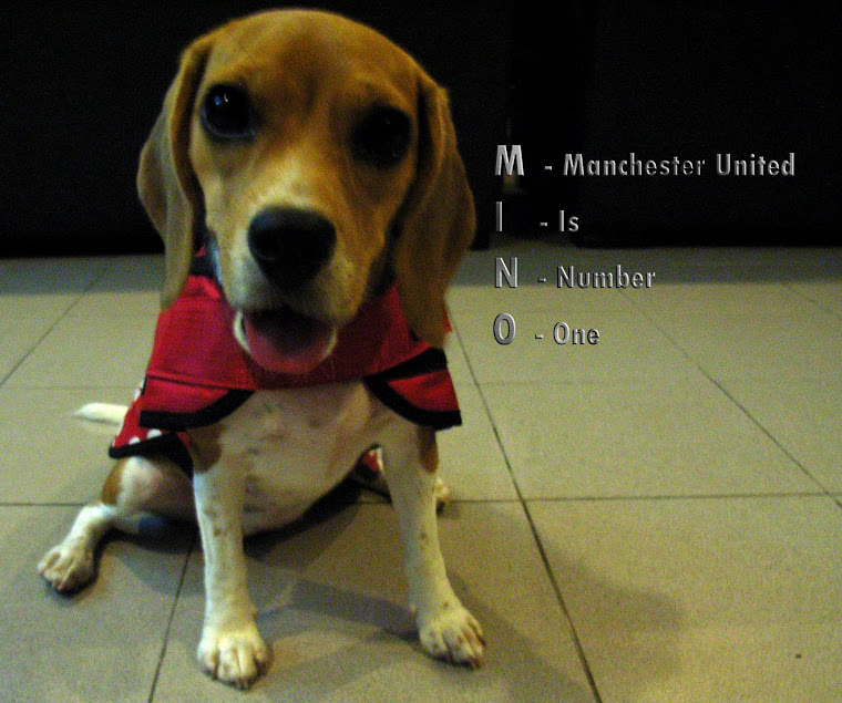 Mino My Beagle -
