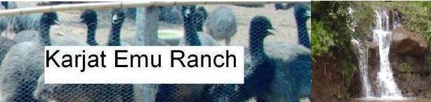 Karjat Emu Ranch