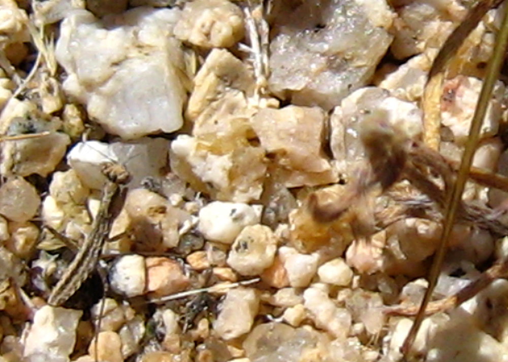 [IMG_1774.jpg]
