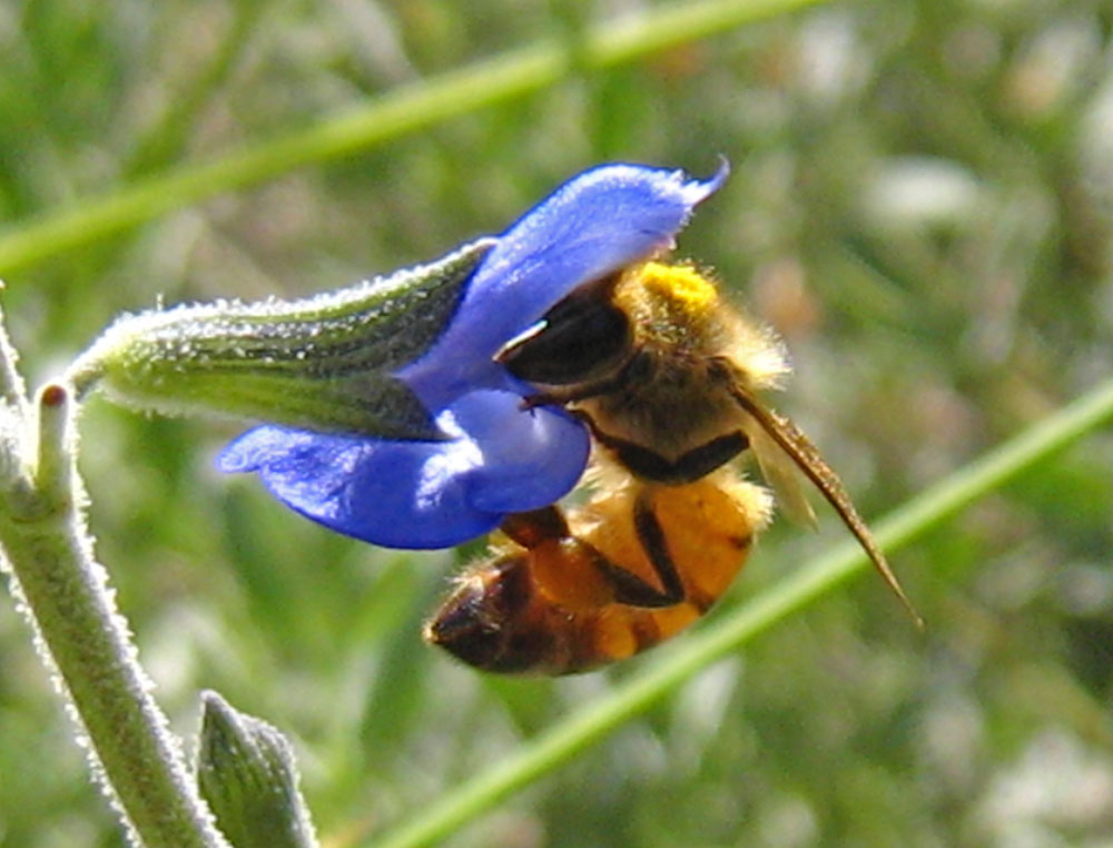 [IMG_2722.jpg]