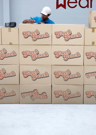 [Stack+of+Ginch+BOXES+w+wearitout.jpg]