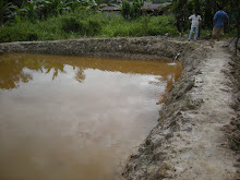 Keli Project