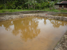 Keli Project