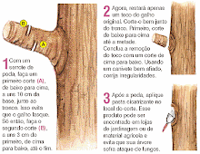 Manual Técnico de Poda de Árvores