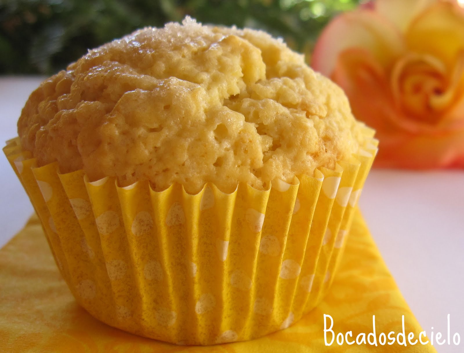 Muffins limónlimón