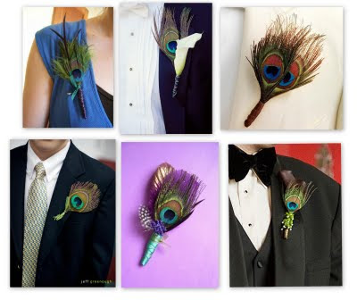 Peacock themed wedding ideas