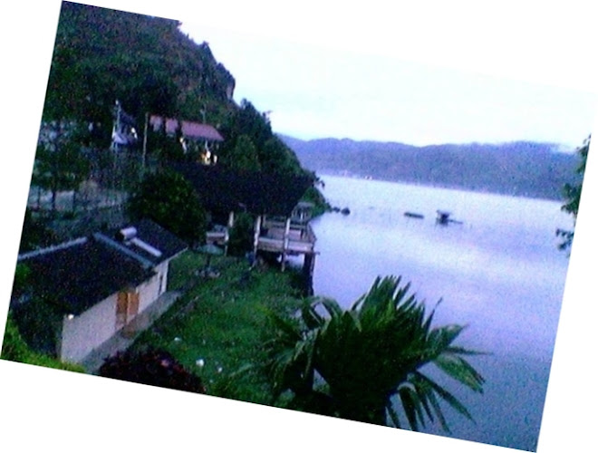 HABITAT  IKAN  DEPIK