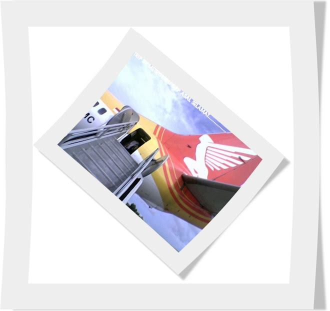 Fly by Metromini..........