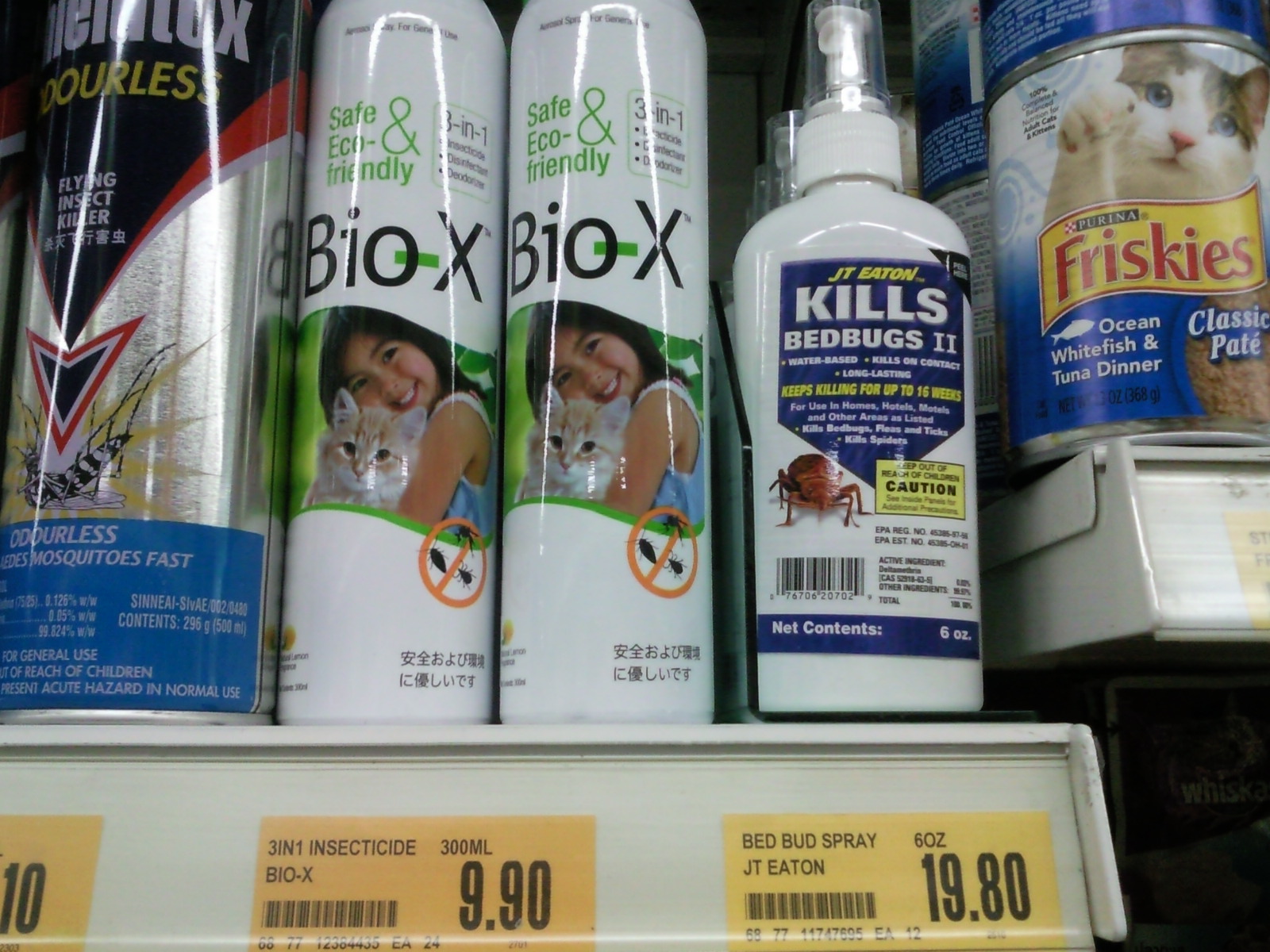 A Day In SG Bed Bugs on the rise in Jurong