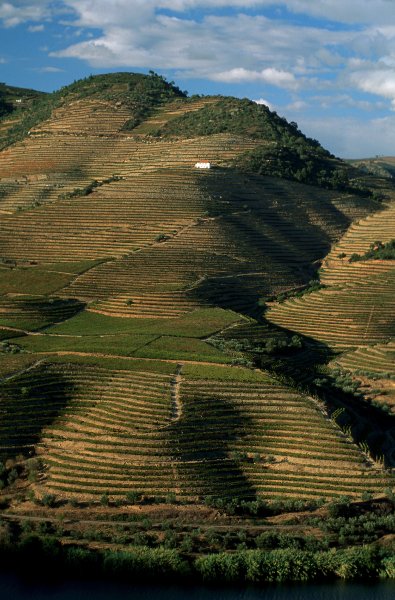 [image-19277-galleryV9-telw.jpg]