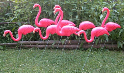heard of plastic pink flamingos on lawn