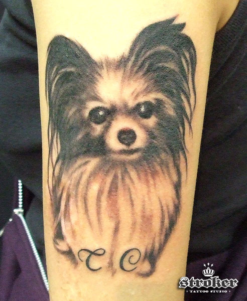 There are a lot of great cat tattoos out there but this one is a puppy dog