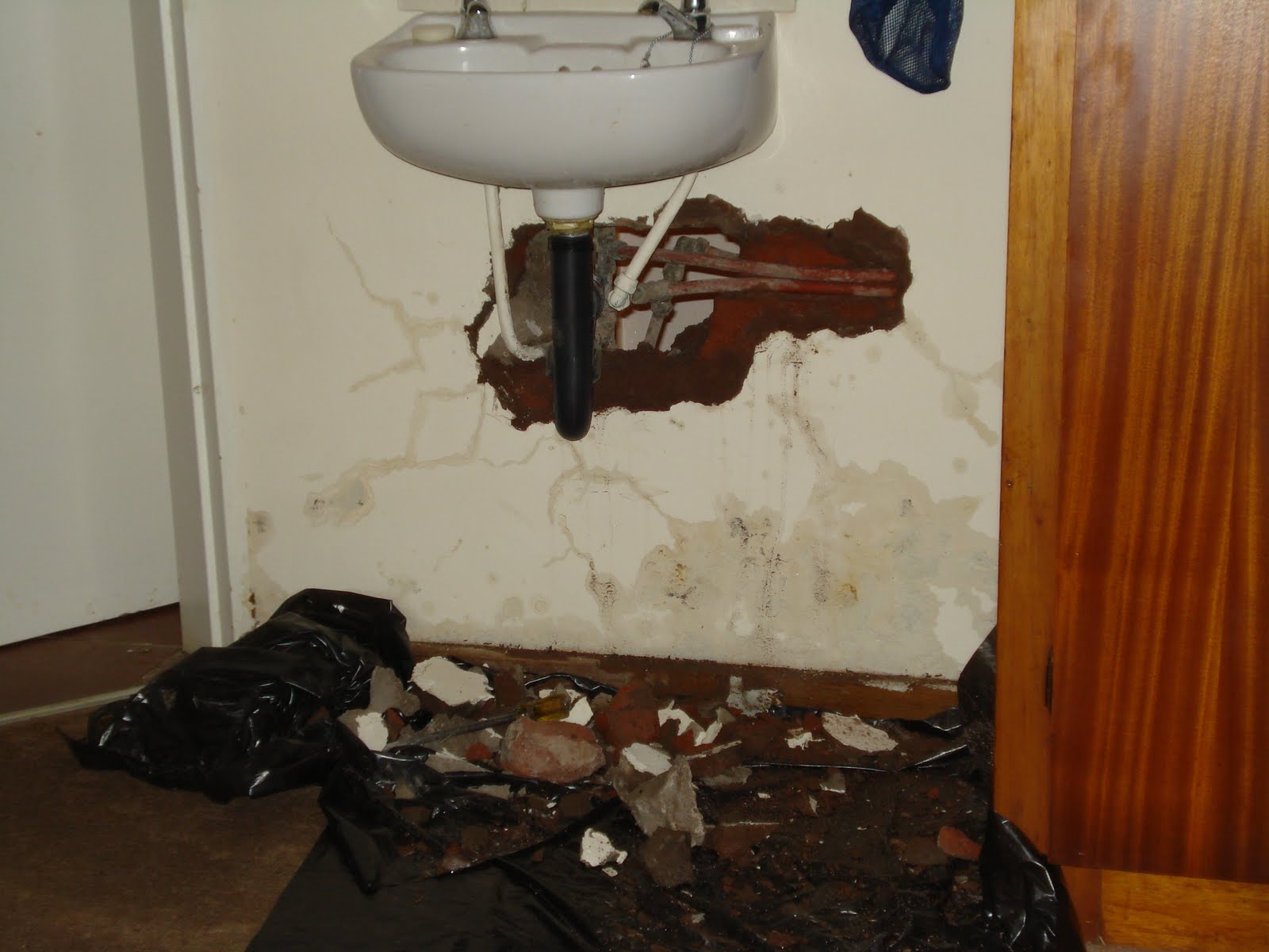 Room Exploding... | Jo & Adam 'n S. Africa