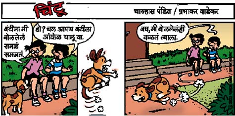 Chintoo comic strip for June 19, 2003