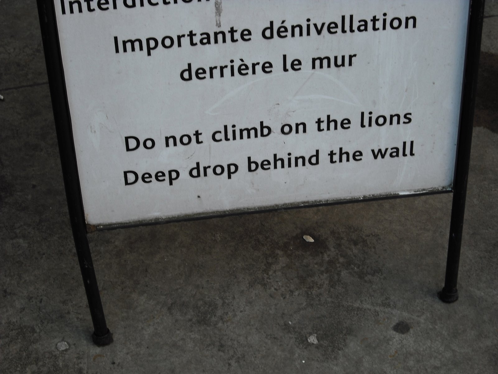 [1033+Lion+Sign.JPG]