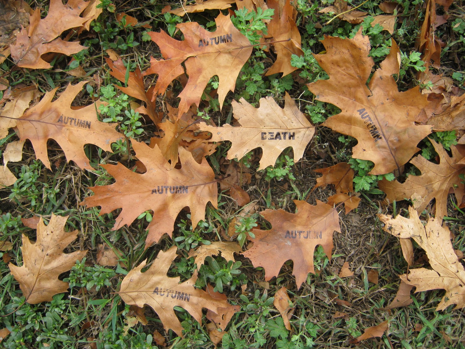 Flogging Babel Autumn! Death! Leaves!