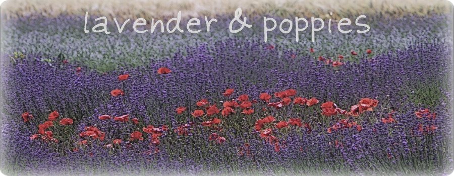 Lavender + Poppies