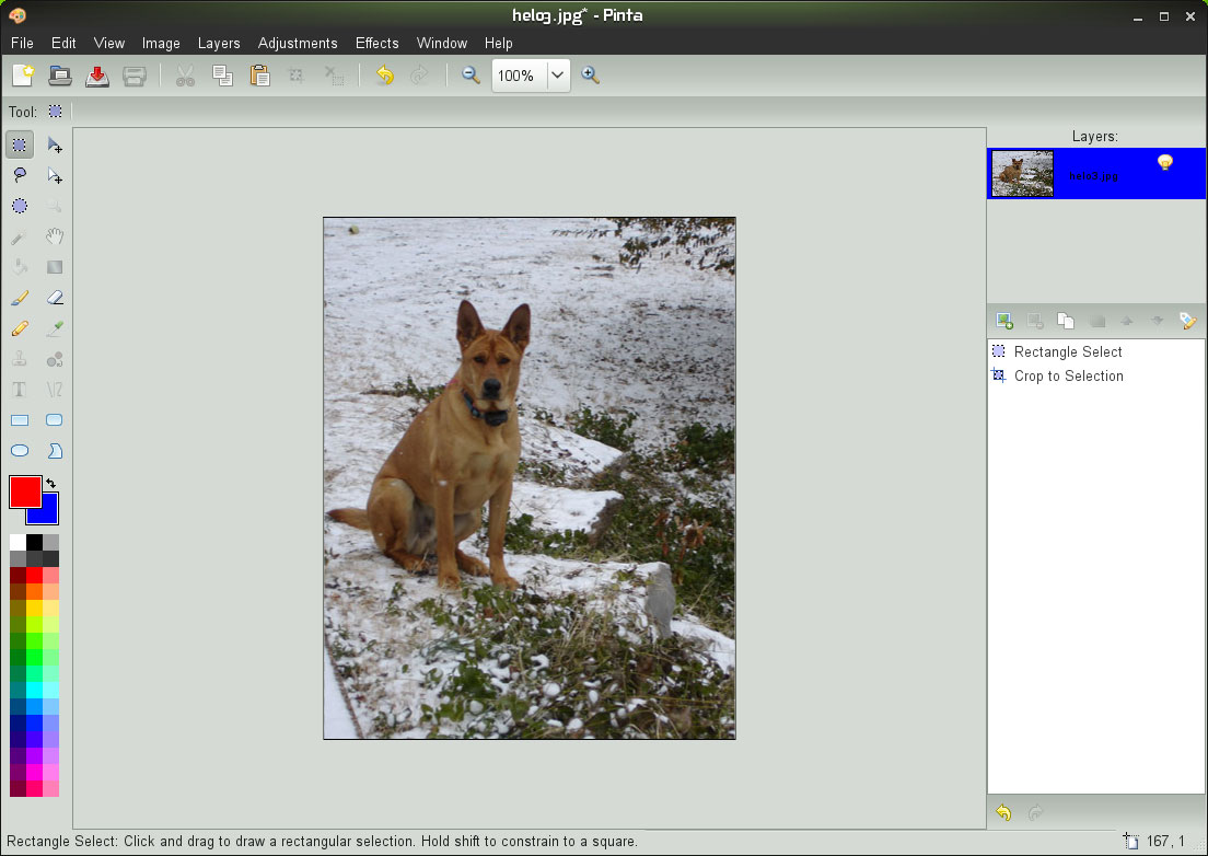 pinta linux pinta linux