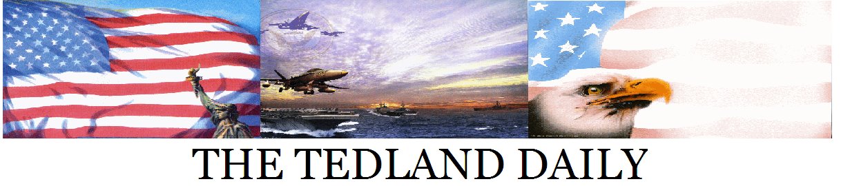 The Tedland Daily