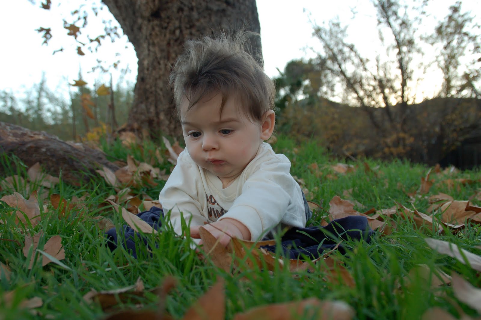 [DSC_0124.JPG]