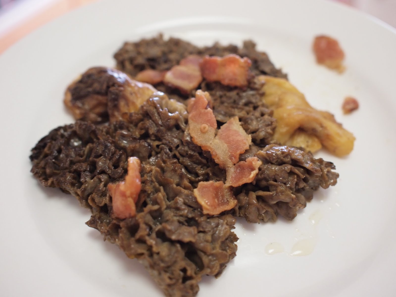This is Gonna Be Good: Cooking Morels