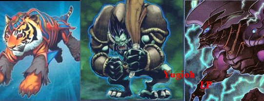 YugiohLP