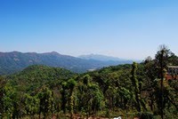 [DSC_1408.jpg]