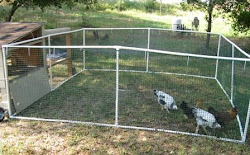 chicken pvc run coop homemade chickens runs diy coops pen plans fence build building without portable ways built loomis living