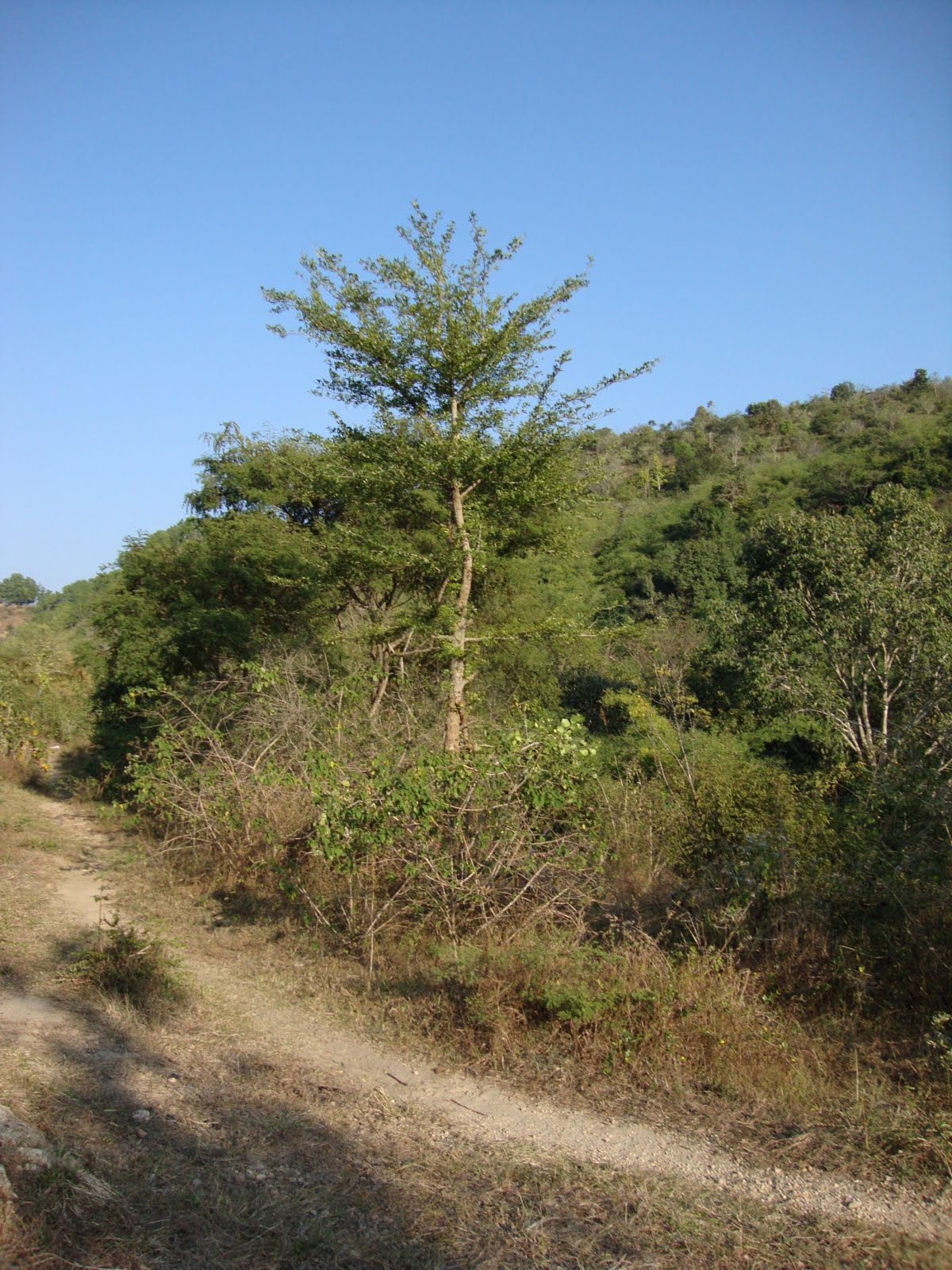 [DSC00693.JPG]