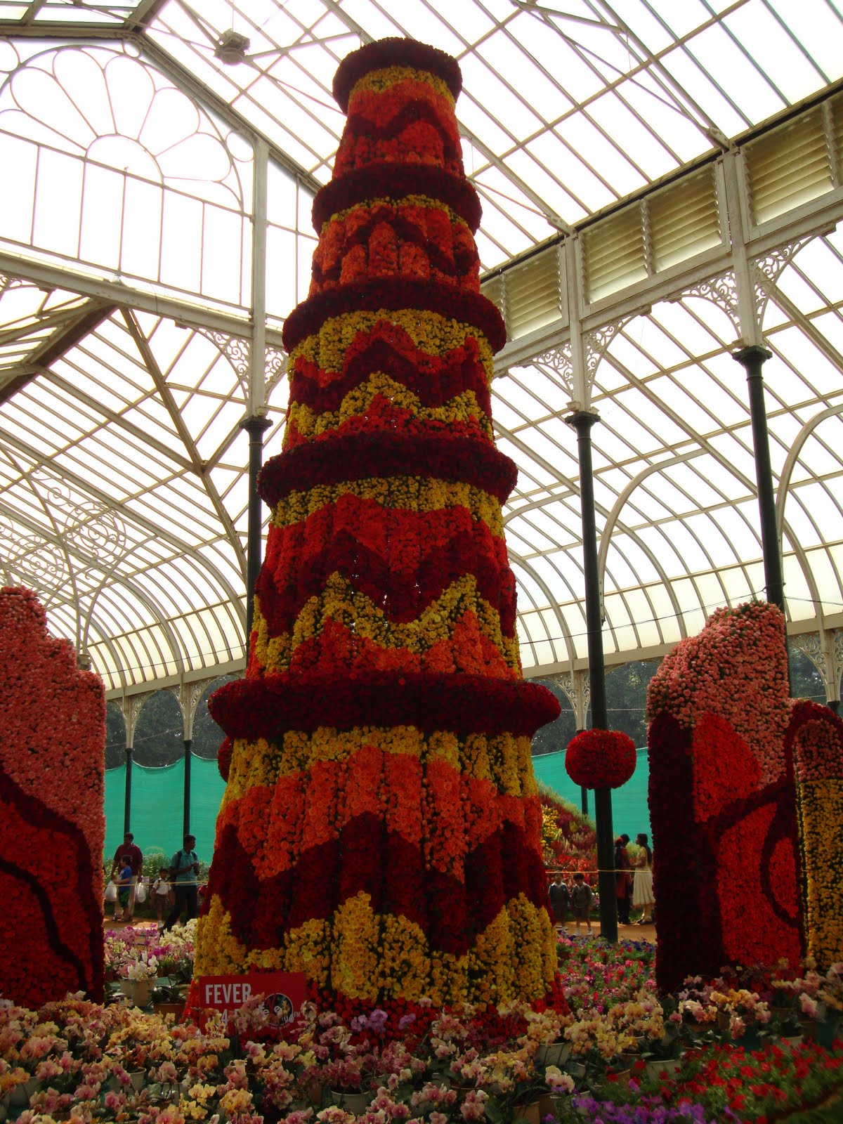 [DSC00743.JPG]