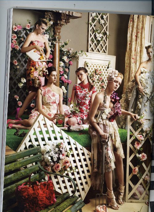 [tatler001_small.jpg]