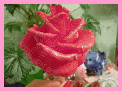 لف الورد المحمدي بالصور