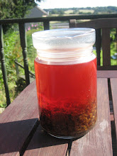 blood red hypericum/st. john's wort  oil