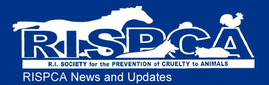 RISPCA News and Updates