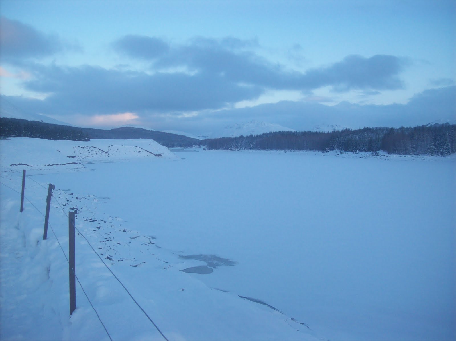 [100_0354.JPG]
