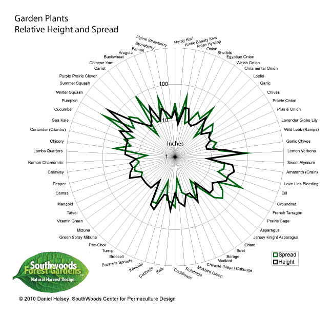 SOUTHWOODS FOREST GARDENS: Relative Height and Spread of Garden Plants