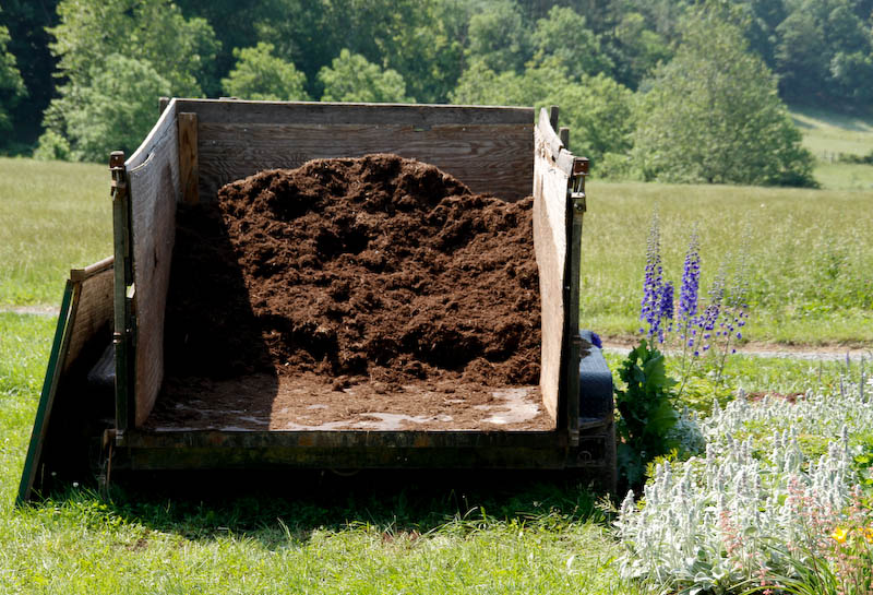 Growing the Growers Filming Trip: Polyface Gardens