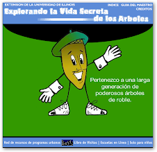 EXPLORANDO LA VIDA SECRETA DE LOS ÁRBOLES