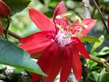 WAWW -- WHAT A WONDERFUL WORLD -- WAWW