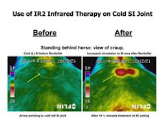 Infrared Image of SL Joint