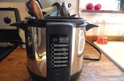 beef cooker barley soup pressure twenty minutes recipe electric