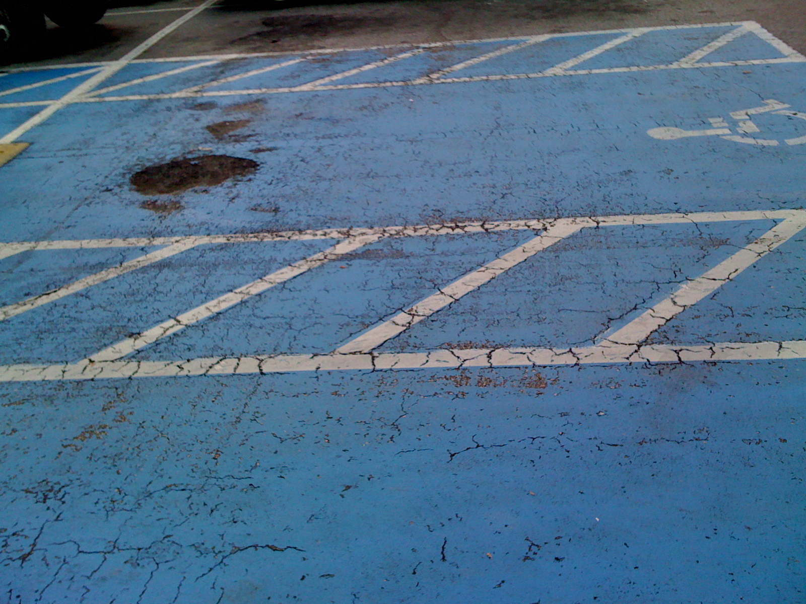 [Handicapped+Pavement.jpg]
