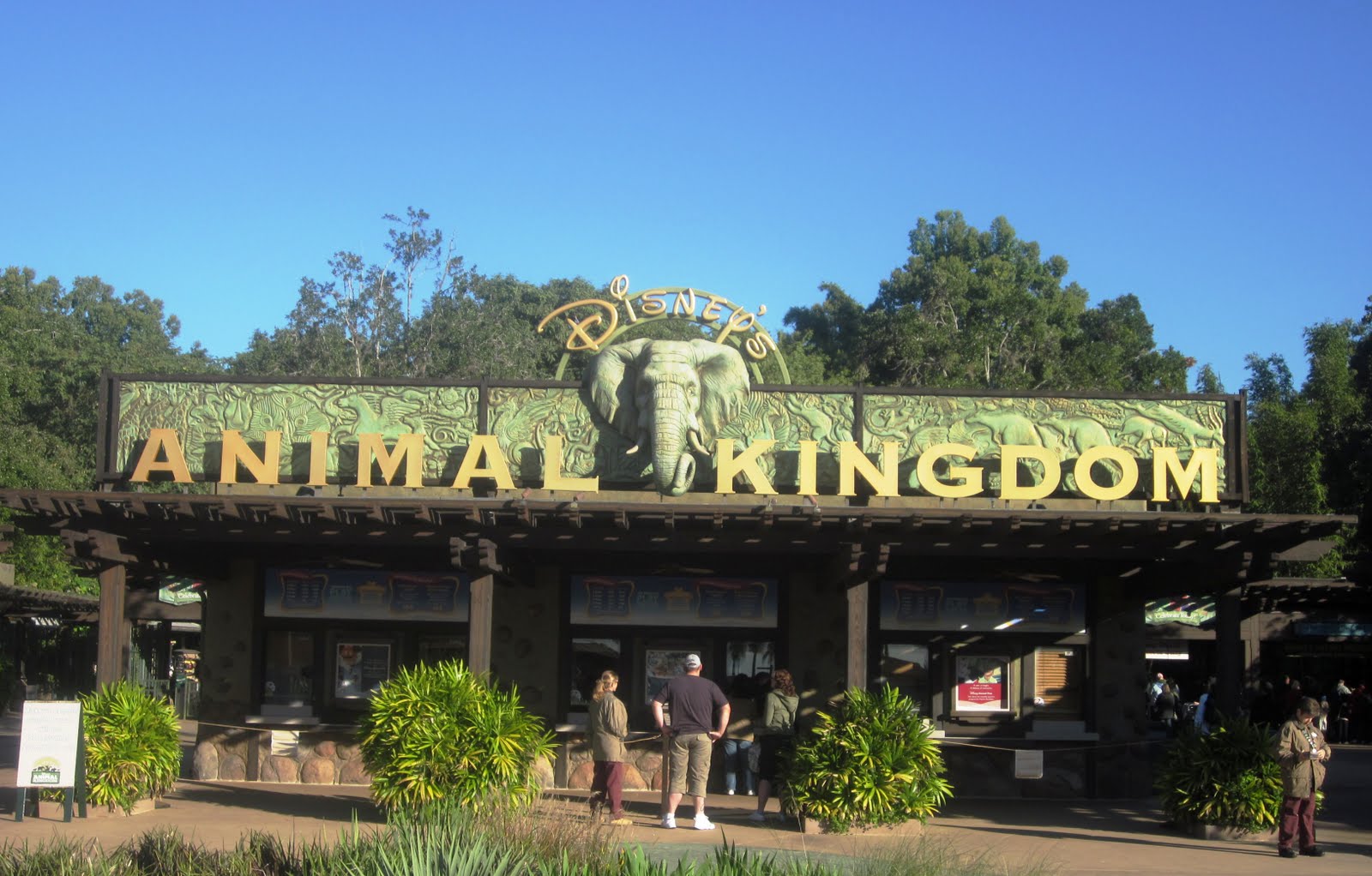 Indulge Inspire Imbibe: Disney's Animal Kingdom