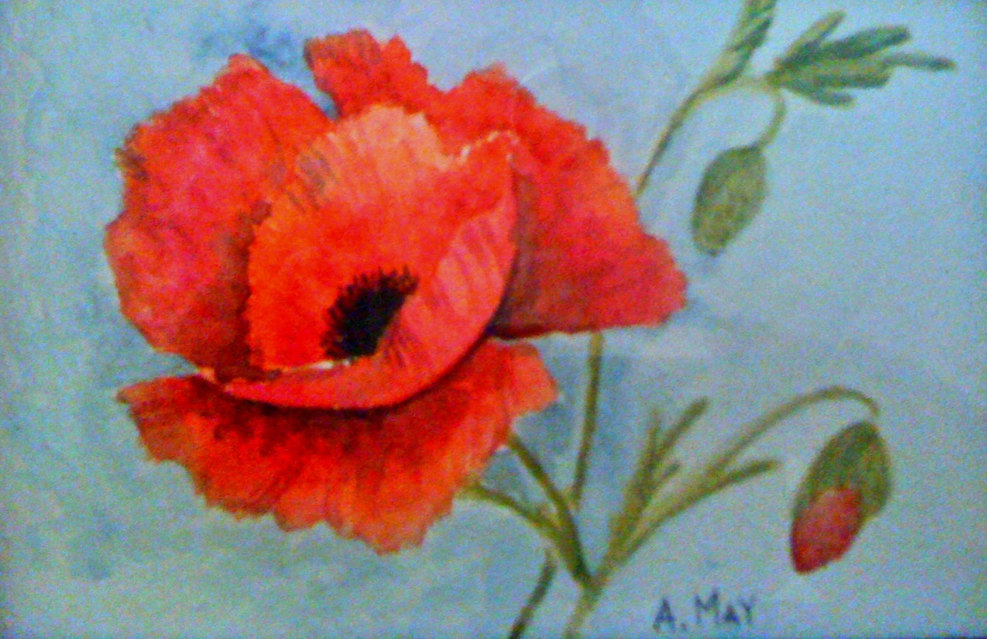 My Life...: Watercolor - Poppies