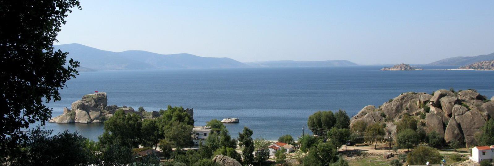 Latmus
