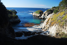Monterey, Point Lobos
