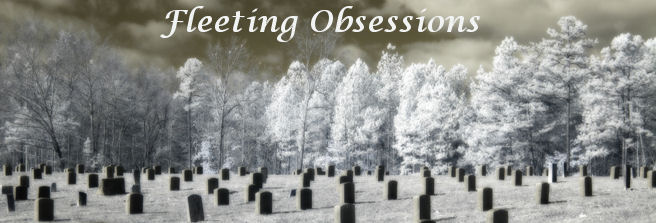 Fleeting Obsessions