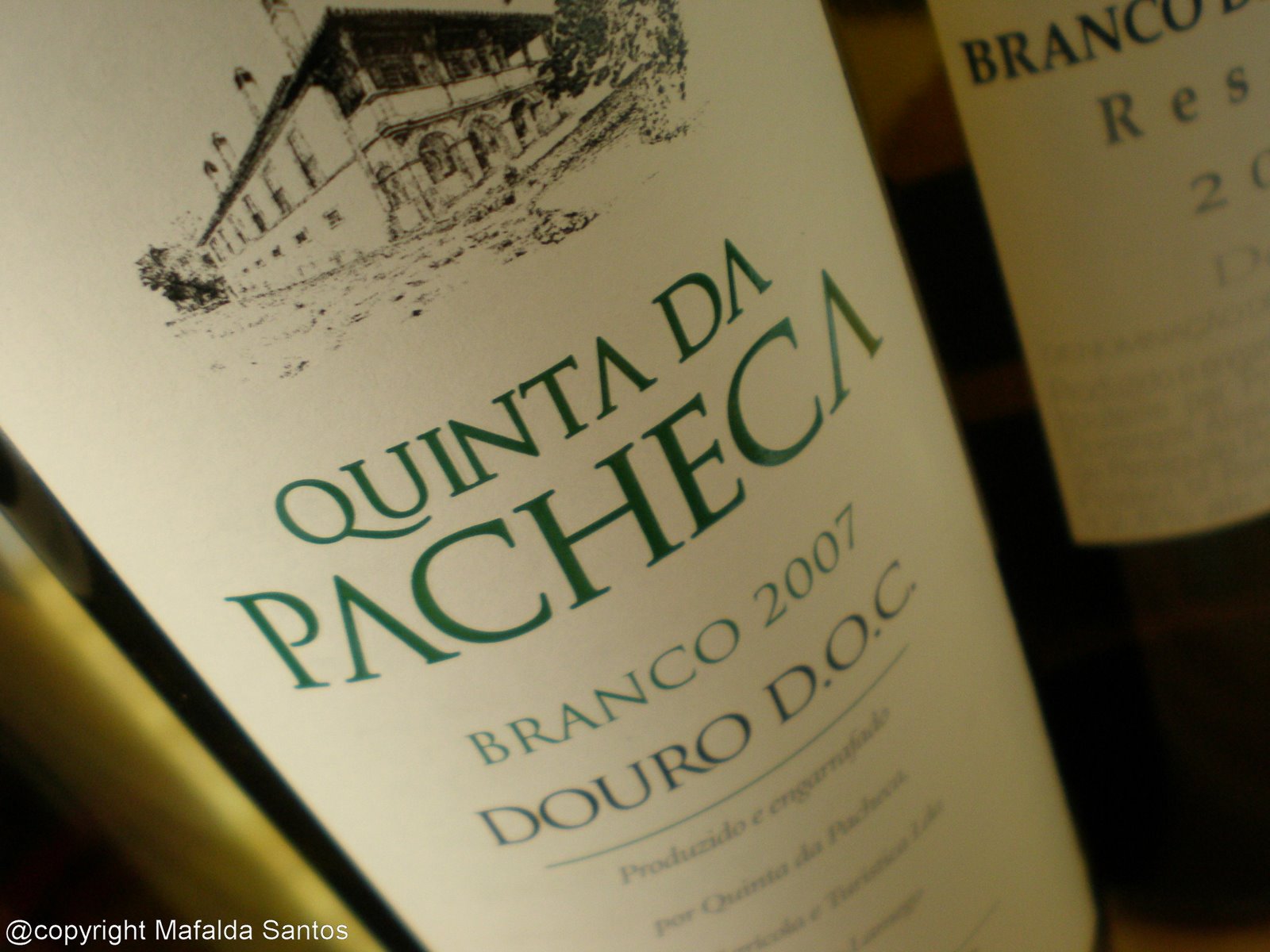 [pacheca+br+07+copy.jpg]