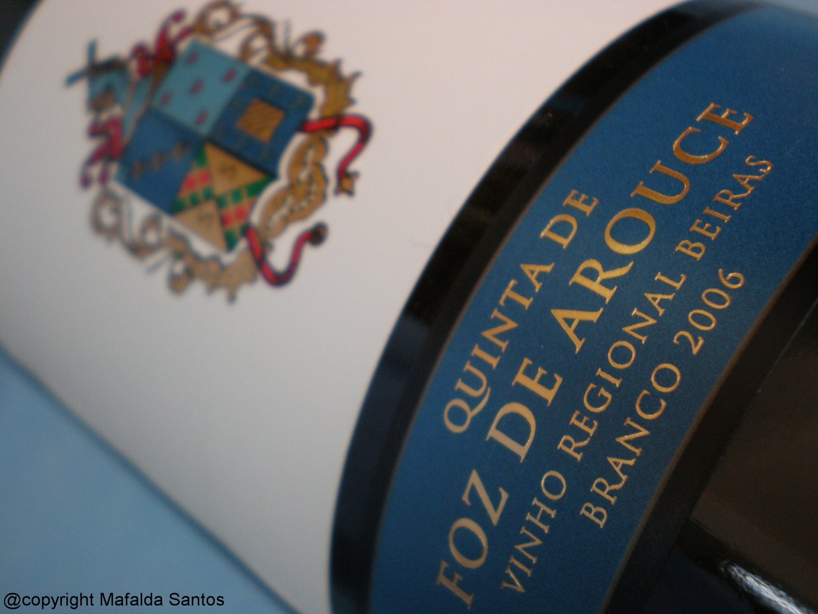 [foz+arouce+br+06+copy.jpg]