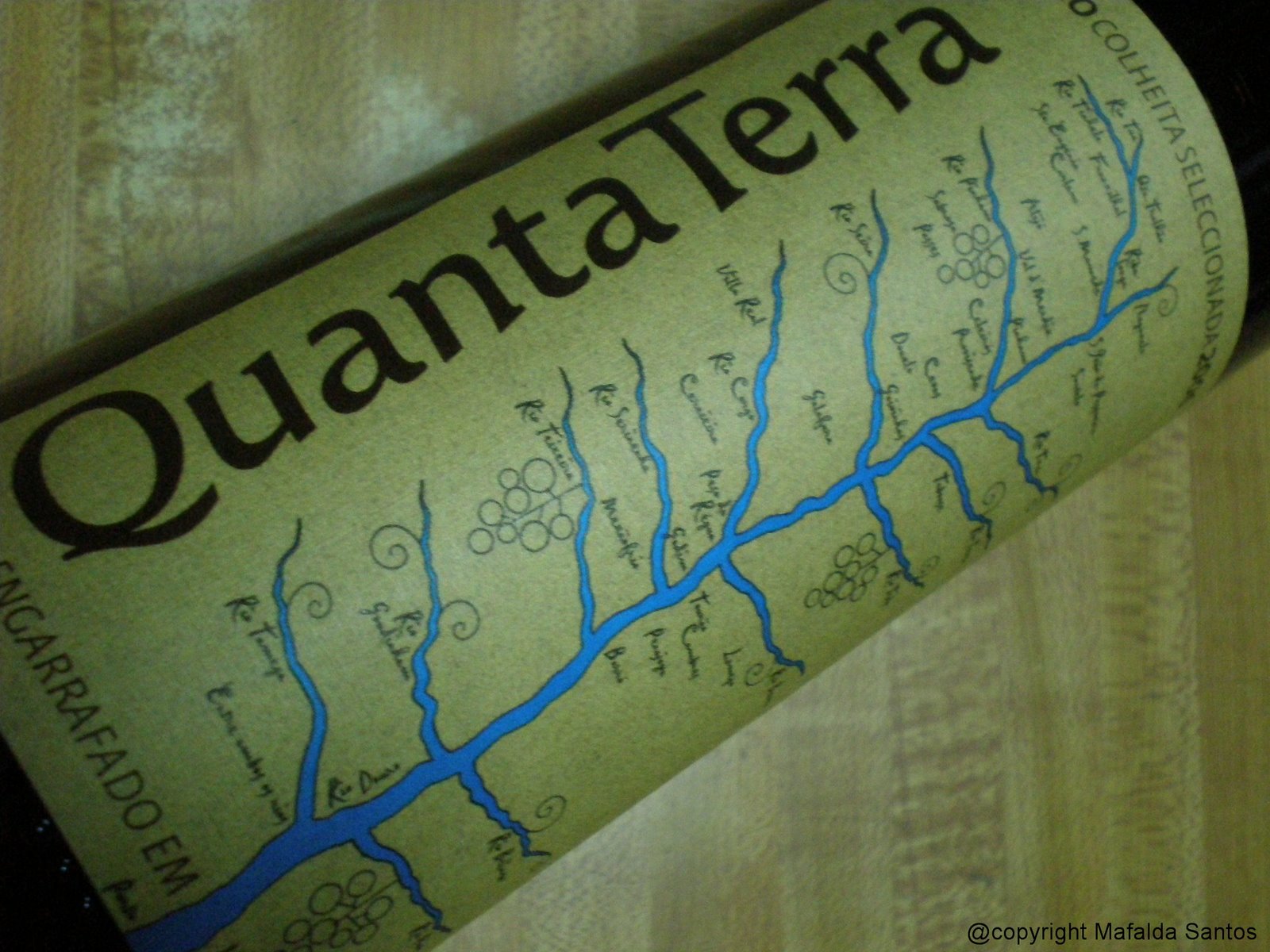 [quanta+terra+06+copy.jpg]